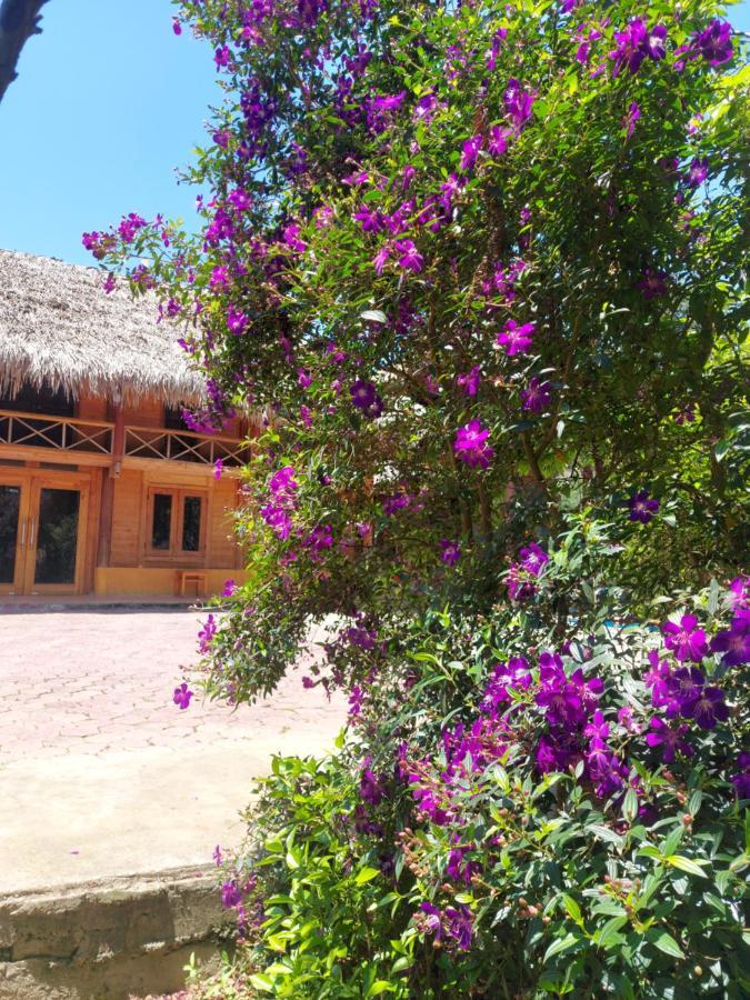 באק הא Flower Hmong Homestay מראה חיצוני תמונה
