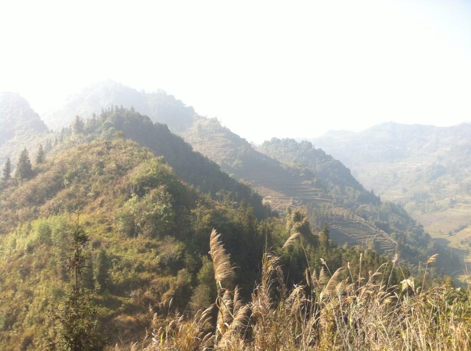 באק הא Flower Hmong Homestay מראה חיצוני תמונה