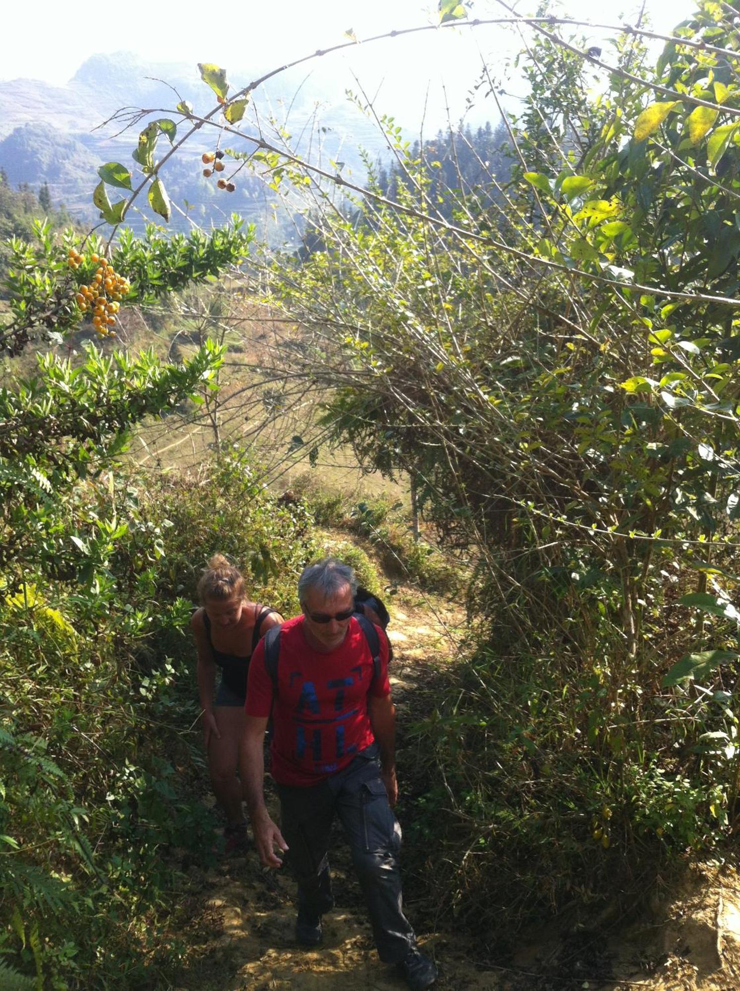 באק הא Flower Hmong Homestay מראה חיצוני תמונה