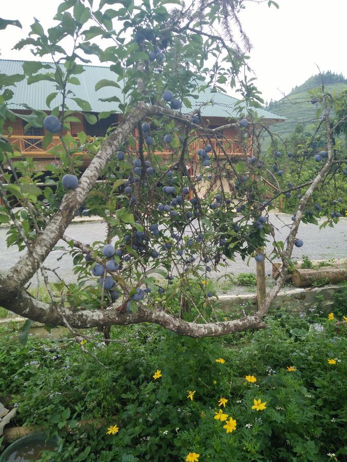 באק הא Flower Hmong Homestay מראה חיצוני תמונה
