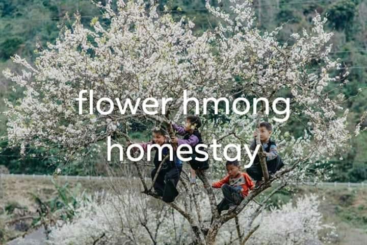 באק הא Flower Hmong Homestay מראה חיצוני תמונה