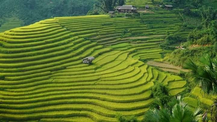 באק הא Flower Hmong Homestay מראה חיצוני תמונה